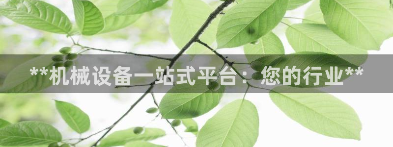 九游会 app