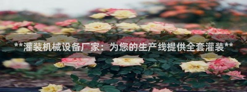 九游会老哥俱乐部官网首页论坛