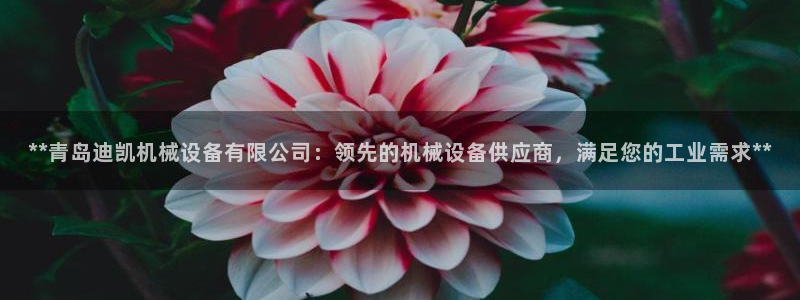 九游会j9官方网站