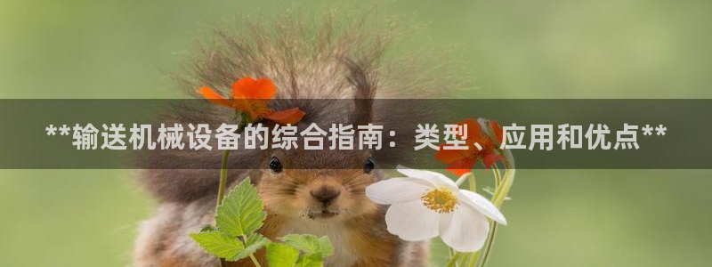 九游j9国际站官方网站