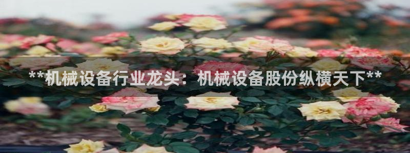 九游会员官网真人游戏第一品牌