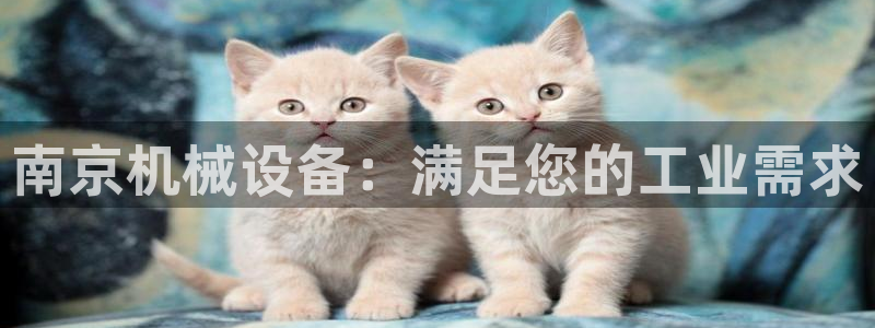 九游会官网网址