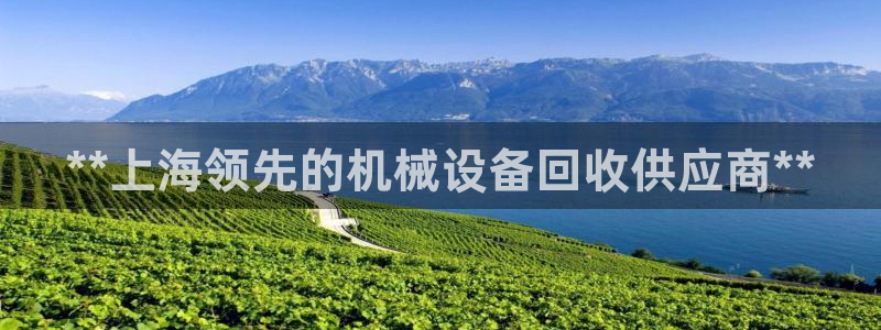 九游会官网app下载