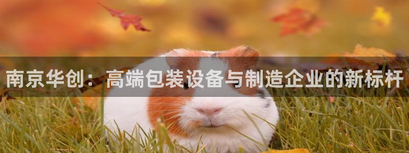 J9九游会能退款吗