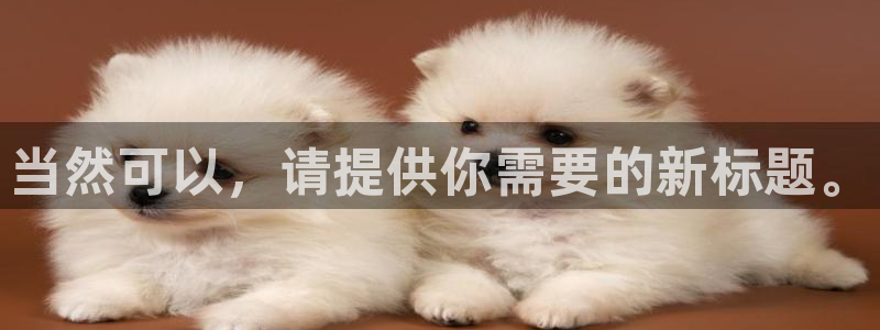 九游会是一个什么网站