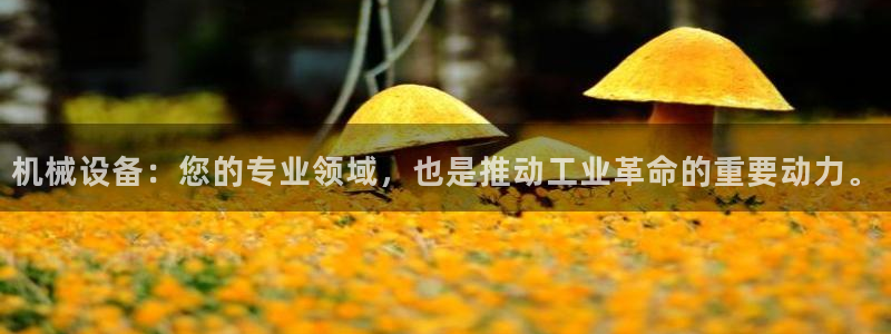 j9九游会最新官网：