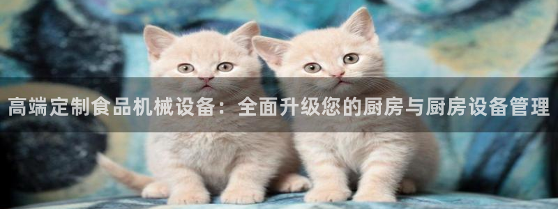 九游会agj9