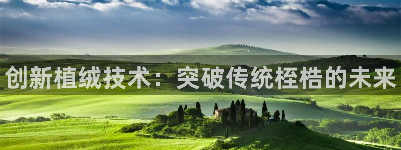 九游会AG在线平台