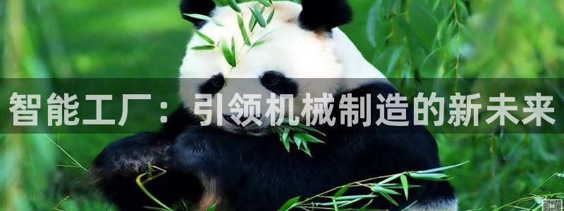 九游会视讯,九游会视