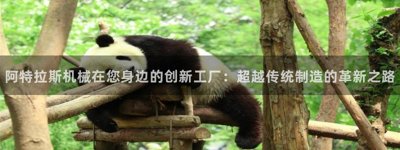 九游会老哥俱乐部：阿