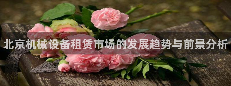九游会第一真人视频游