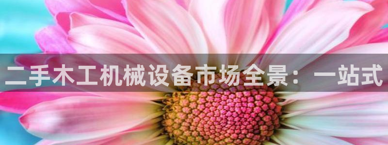 j9九游会真人第一品