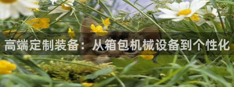 九游j9官网