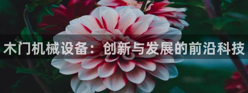 九游会游戏网址