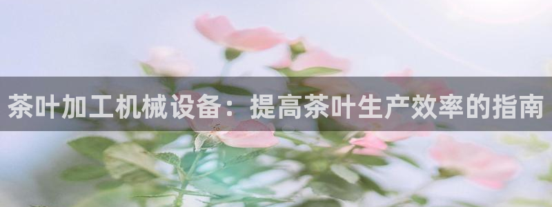 九游会进不去了