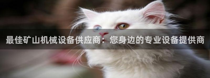九游会官网首页进入吗