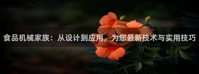 J9九游会-真人游戏第一品牌