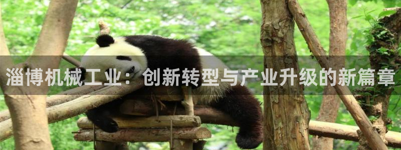 ag九游会官网网址