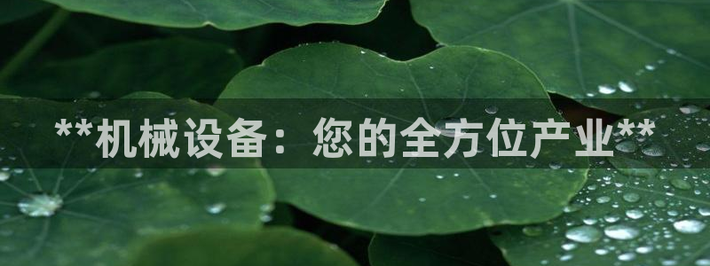 九游会网址登陆