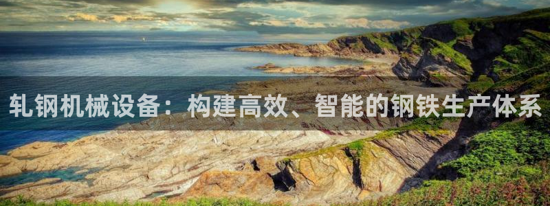 九游会登录网站吗