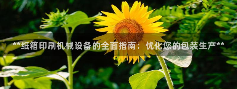 九游会官网在线登录入口