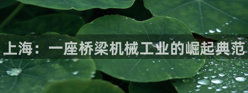 九游会网址登录不上