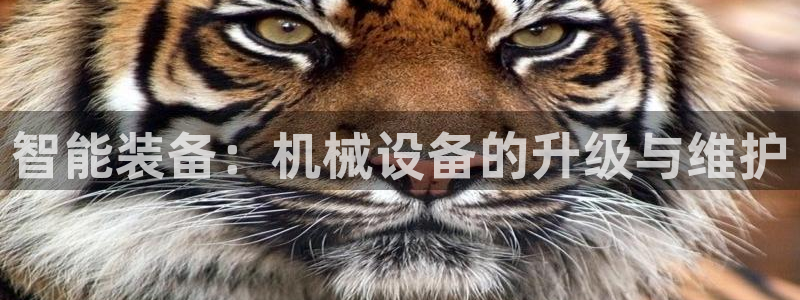 九游会j9全站平台