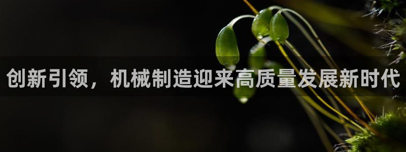 九游会网址在线玩